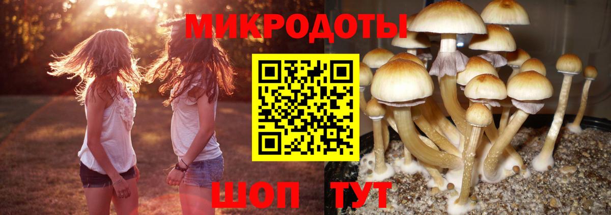 Ярцево  Псилоцибиновые грибы ЛСД  Вход с VPN 